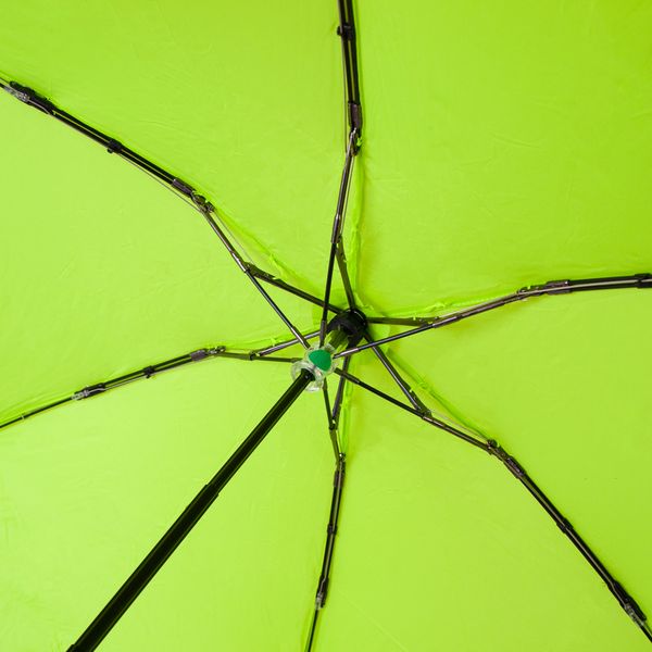 Зонт женский Fulton Soho-1 L793 Lime (Лаймовый) L793-031131 фото